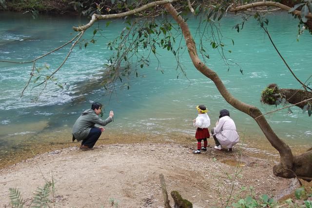 随走札记｜一到春天，罗平就变成了多彩的世界
