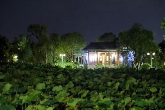 上海地址随便来一个