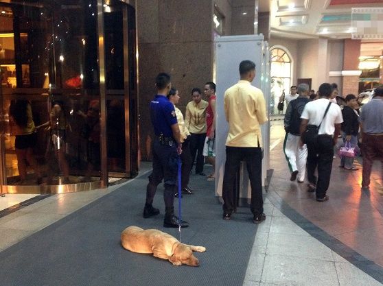 菲律宾欲打造亚洲第三大赌城 挑战澳门