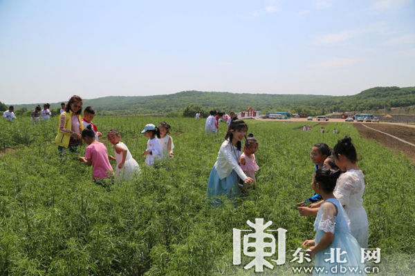 “六一”伊春铁力香草河·花溪谷景区“以花会友”