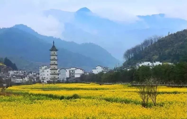 【每月在路上】三月,送你最in的赏花攻略,十大赏花胜地,愿你不