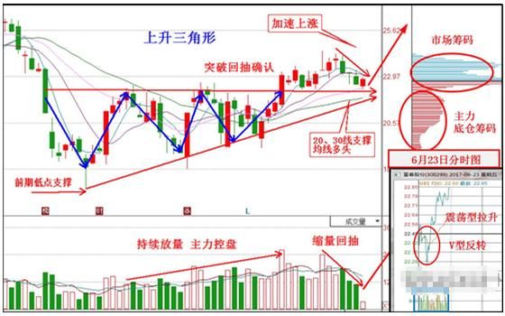 上海一女教授说破股市：万一遇见“七不买”试盘，铁定就是大牛股