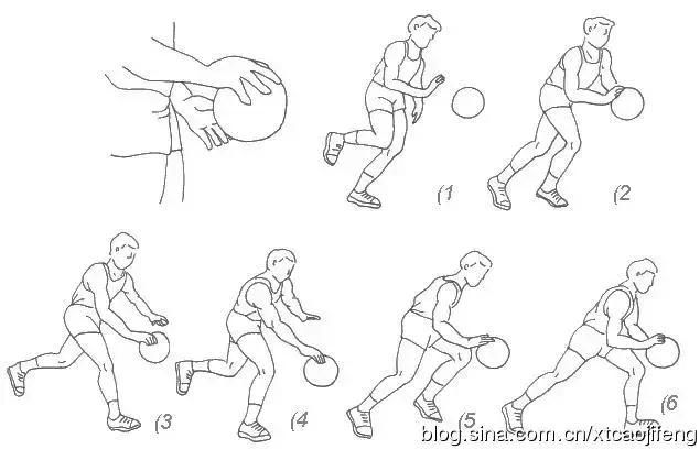 体育教学挂图和动作图解篮球篇