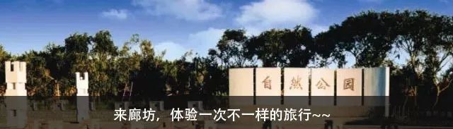 不负春光 | 河北竟私藏着这么多桃花林，就等花开了