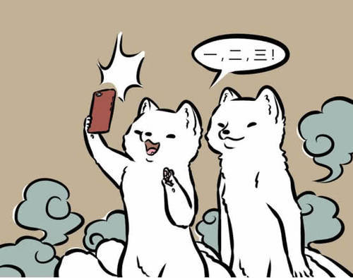 非人哉:年兽总裁智商以德服人表情包的猫砂整容?九尾狐堪忧脸图片