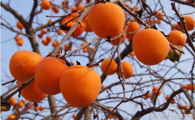 只有今生,没有来世,请好好珍惜这一世!