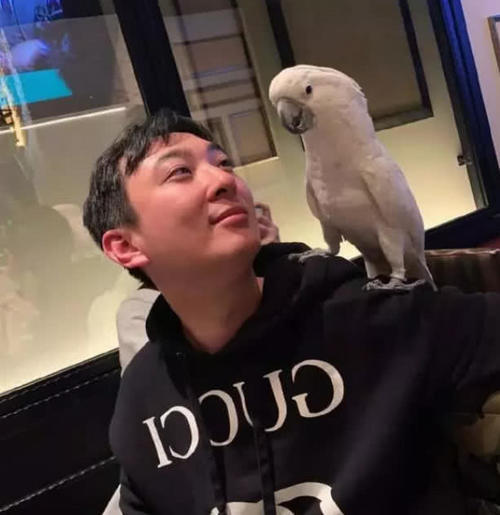 王思聪家可以开动物园了,斥重金买鸭子,上万块