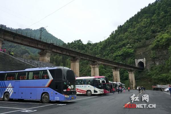 采春茶游苗寨 古丈茶旅正当时