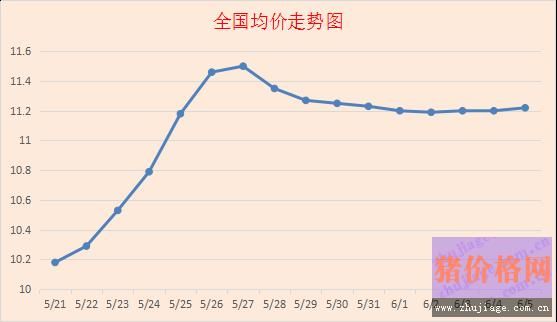 猪价行情小幅回升，各地猪价走势稳中向好