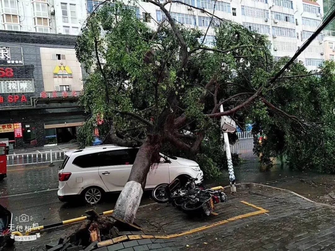 江西地区1人遭雷击！狂风暴雨雷电袭赣！多地受灾