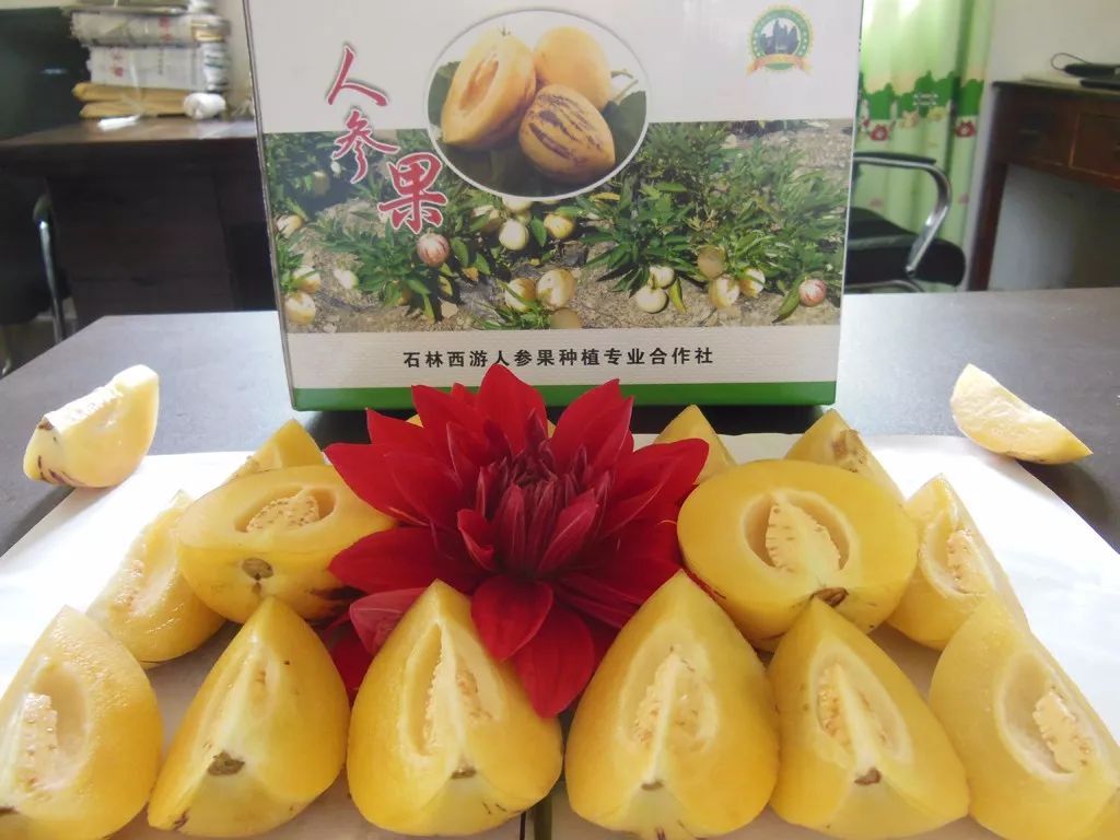 吃人参果、摸鱼、射箭、篝火晚会,这个周末,来