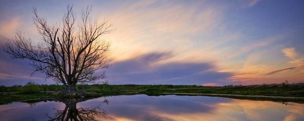 复旦财经大学知名老教授：“潜伏为盈战法”总能完美捕捉强势股！
