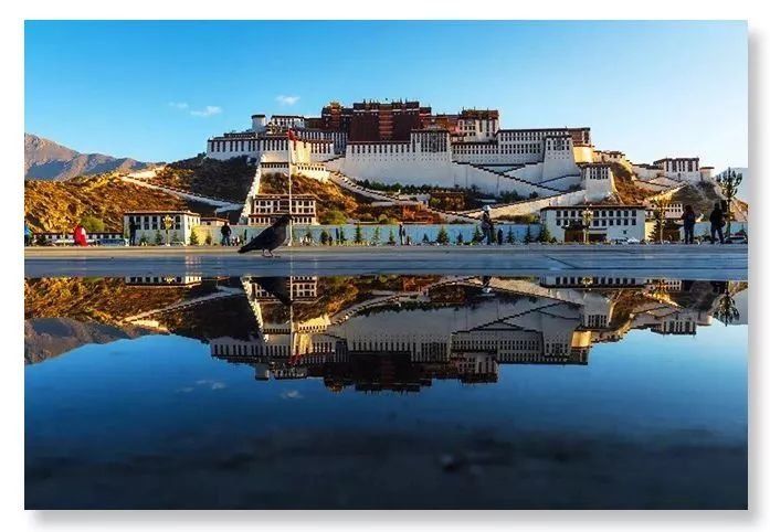 是什么在撩拨你的西藏情怀!