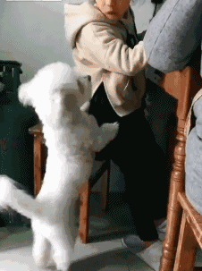 这就是为什么我喜欢中东土豪的原因! 1.