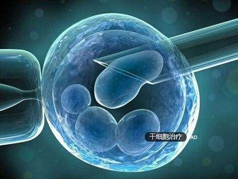 禁食、特效药、针灸、排毒、干细胞… 治愈 自