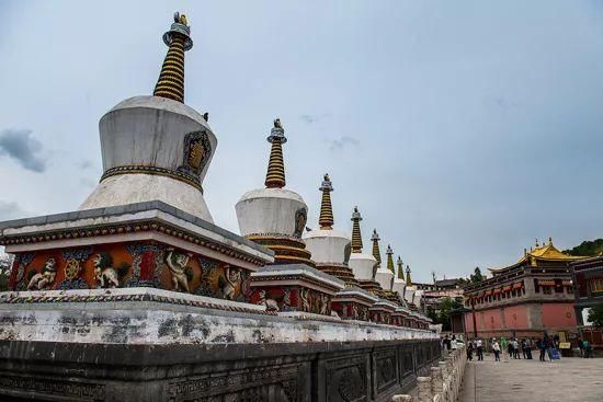 三月，青海无限美，不负好春光！