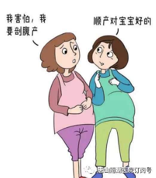 关于生娃的谣言, 看看你听过几条?