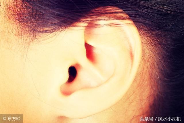 面相:耳朵垂不能只看大小关键看形状