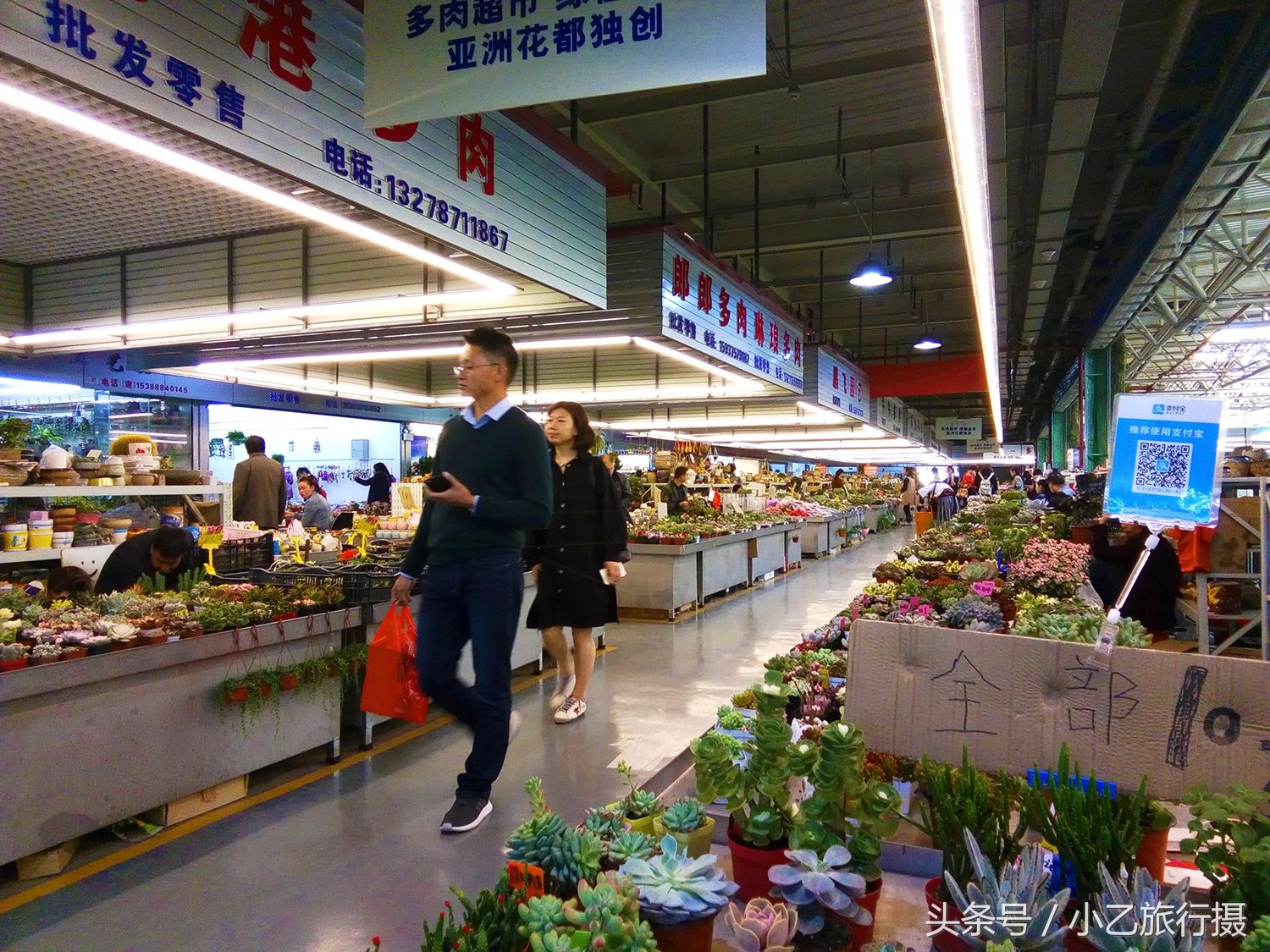 实拍中国最大的鲜切花交易市场,鲜花、盆栽种