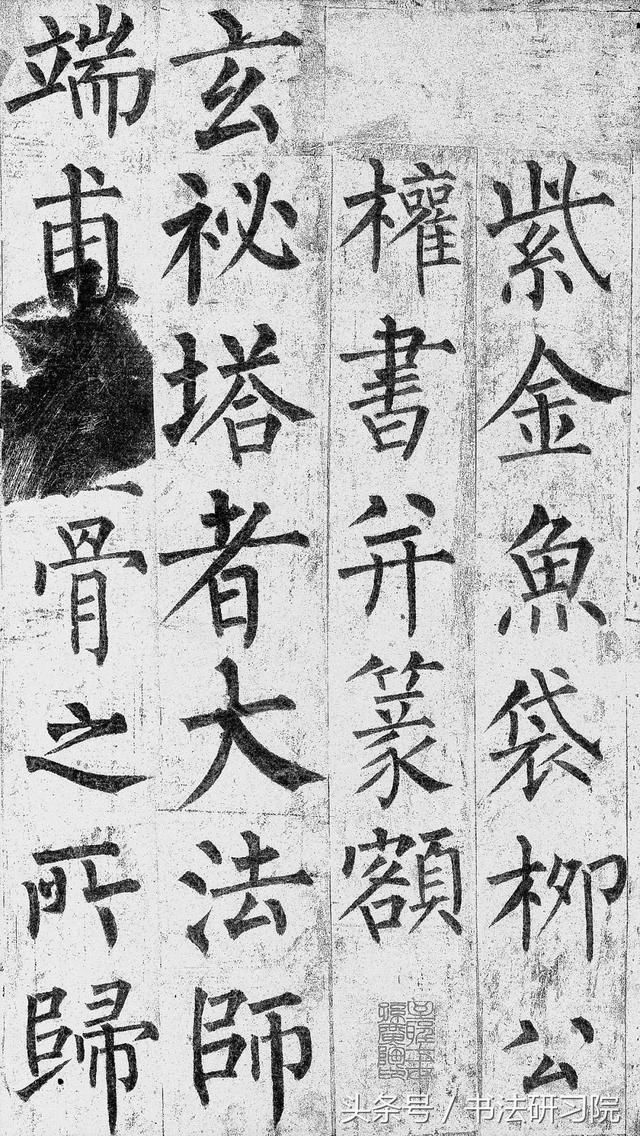 t0195acae88a7eac4cd.jpg