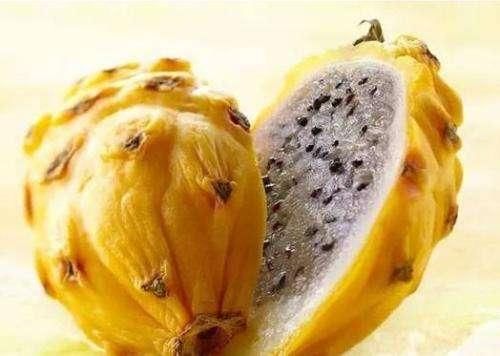 水果中的“爱马仕”