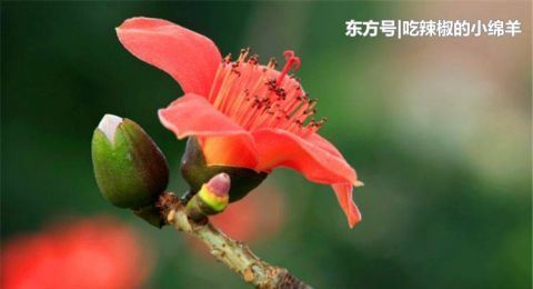 你再精明,也“斗”不过这三大生肖,不要想着跟他们耍心机 99真人备用网址