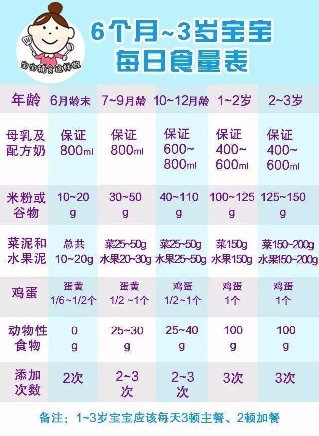 6个月~三岁的宝宝 每天科学喂养的食量是多少?