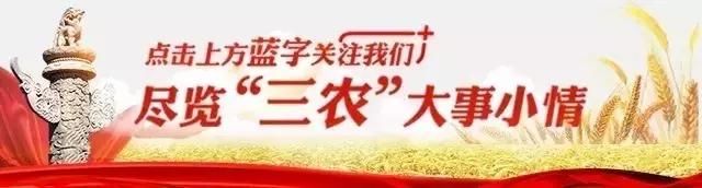 打工妹回乡种它，一年销售200多万元！现在又有了增收新点子