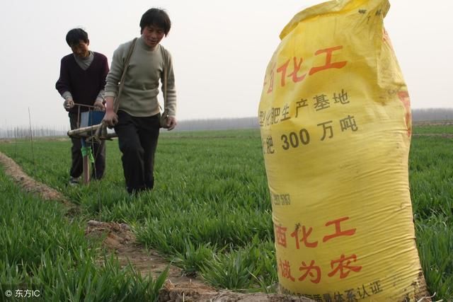 买化肥时农民要注意这些“套路”，否则上当受骗的就是你！