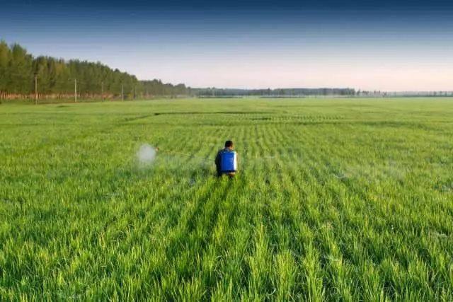 全国农业工作会议专题丨2018年是农业质量年