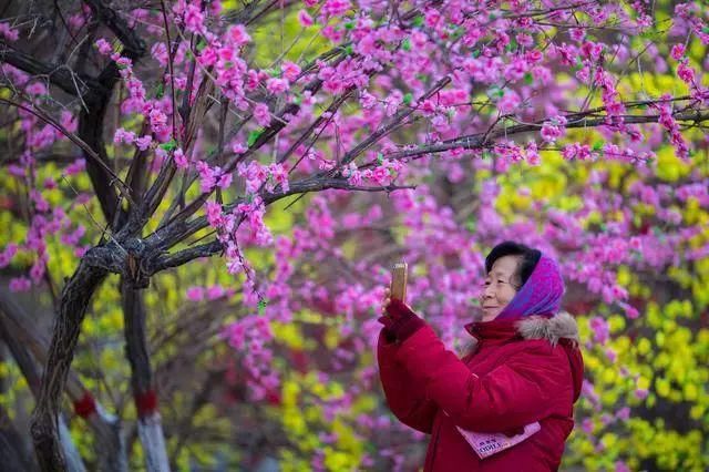 呼市人注意!春节期间这9条消息大家要知道，看到第1条很多人乐了