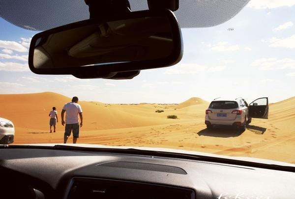 荒漠也不是荒漠了