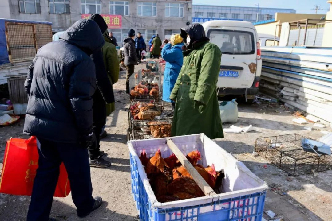 赶大集，买年货，长春乐山大集年味浓!