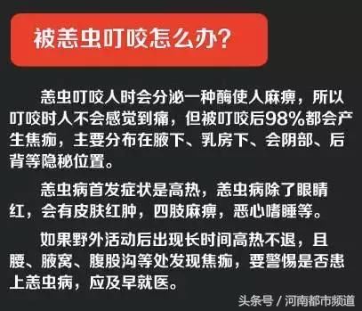 信阳一村医被虫咬后突然离世，双腿肿胀还发青！村民慌了：啥虫？