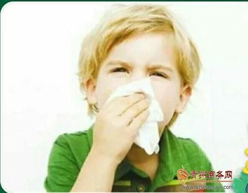 过敏性鼻炎患者看过来,青州市人民医院三伏贴
