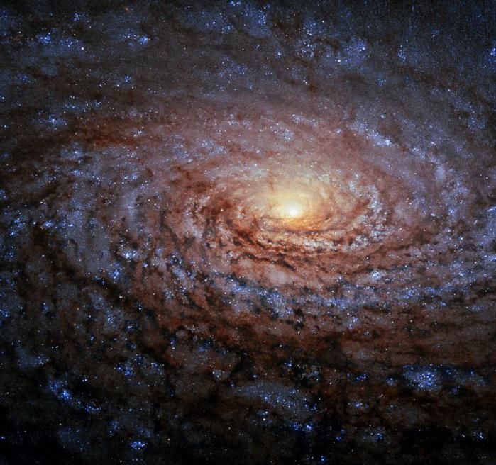 一起欣赏梅西耶63星系-向日葵星系
