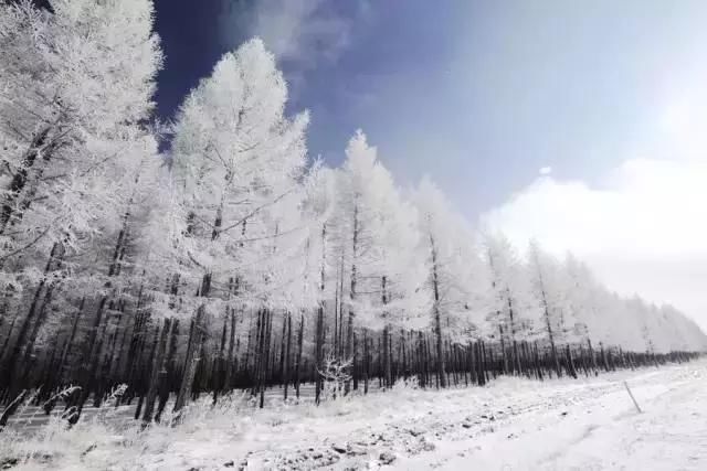 实拍张家口草原天路大雪，这样的寂静你见过吗