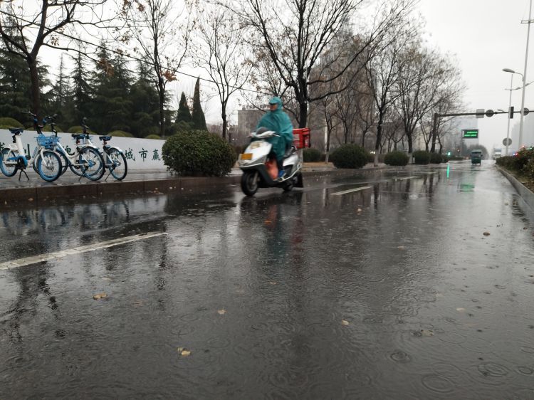 淄博这场雨下了这么久 增雨烟条有功