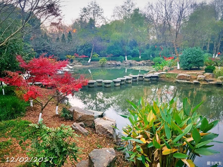 周末休闲遛狗:逛下马坊遗址公园