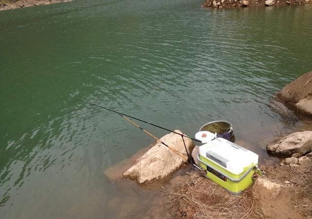 初春钓鲫鱼，分享一款效果特好的配方给大家!