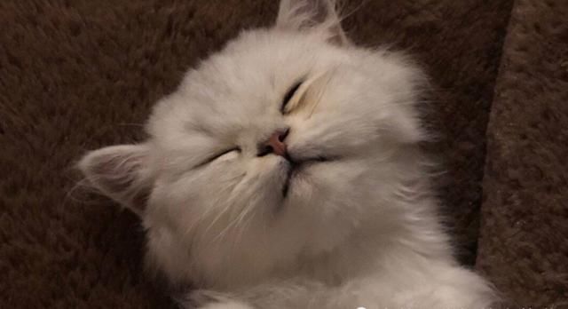 出国要办理哪些手续