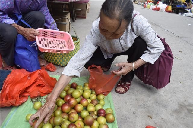 农村老太提一篮李子街边摆摊，年轻人念其不易买了不让找零