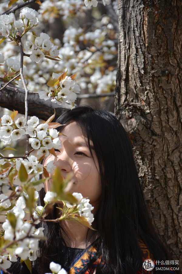 #原创新人#青海:一张蓝色画板上，映出绚烂世界