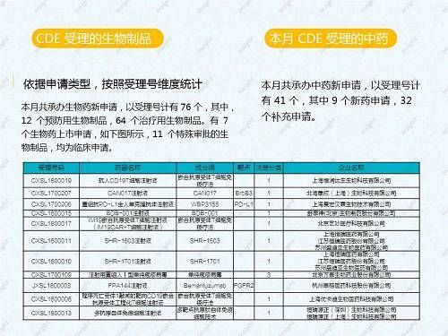 2018年2月CDE药品审评报告