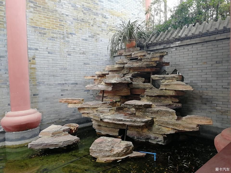 参观牛碾坪万亩观光茶