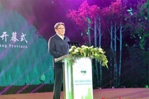 2019年政府重大会议