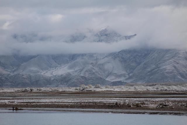 它是世上最高河流之一，全程流淌在3000米以上，风景奇特物种珍稀