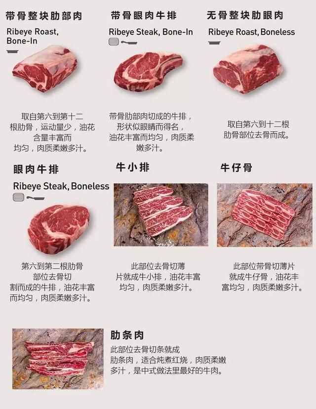 吃货：牛肉远远不止牛腱牛腩牛柳，不同部位牛肉图文详解全攻略