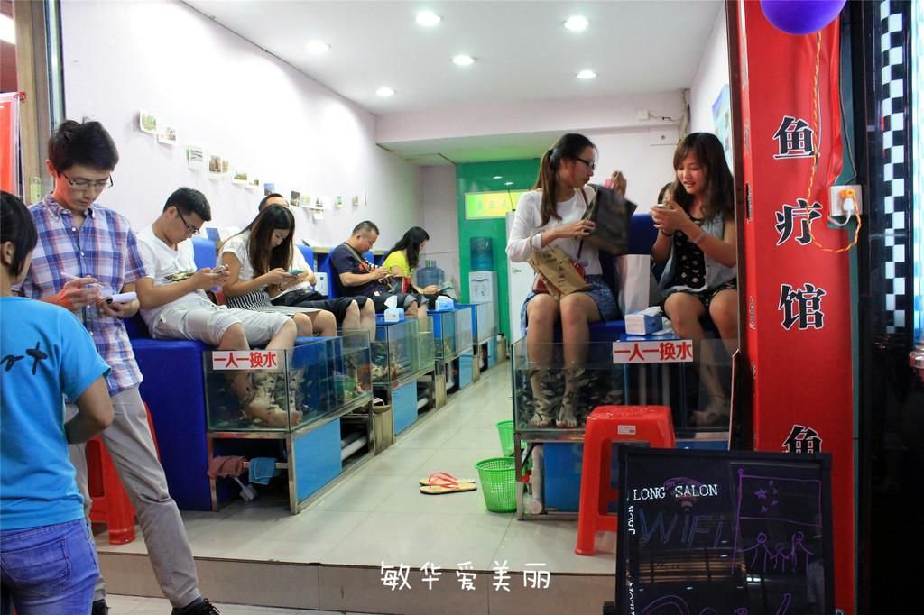 厦门市十五届人大五次会议