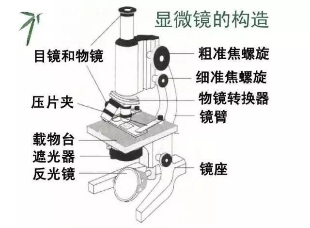 还能放心吃吗?青海三文鱼企业竟这样检测寄生虫……网友:生物老师